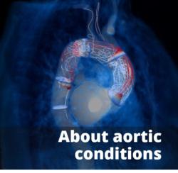 About Aortic Conditions link